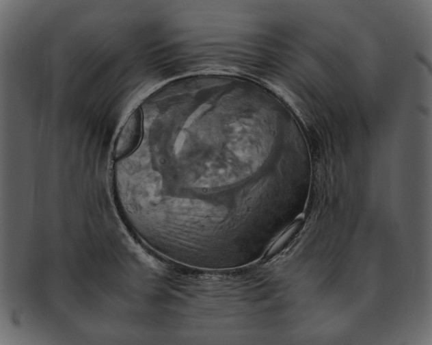 X0000093241379200710171431