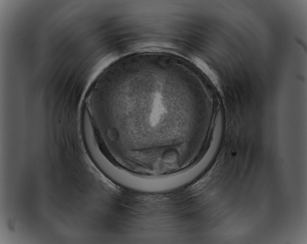 X0000093241384200710171431