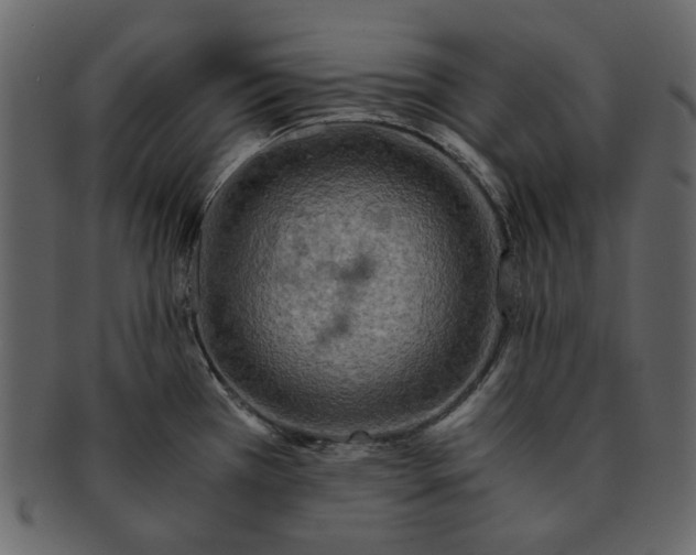 X0000093241385200710171431