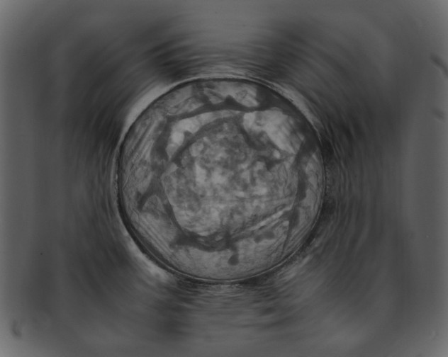 X0000093241387200710171431