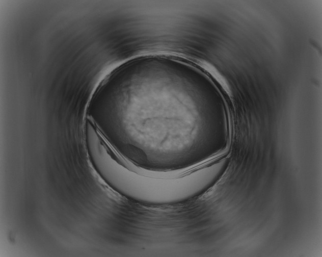 X0000093241388200710171431