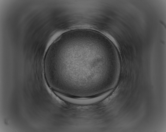 X0000093241389200710171431