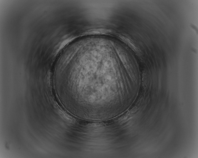 X0000093241404200710171430