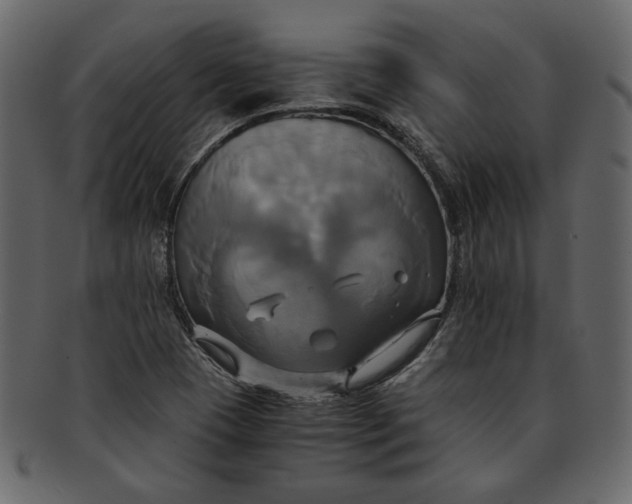 X0000093241409200710171430