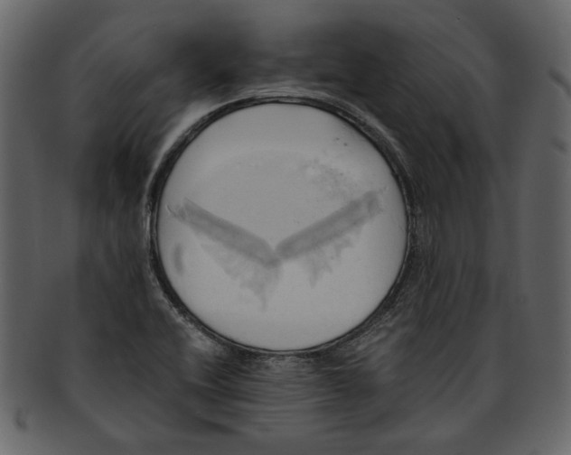 X0000093241416200710171430