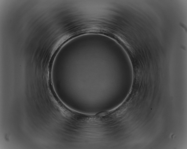 X0000093241418200710171430