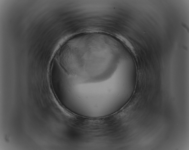 X0000093241429200710171431