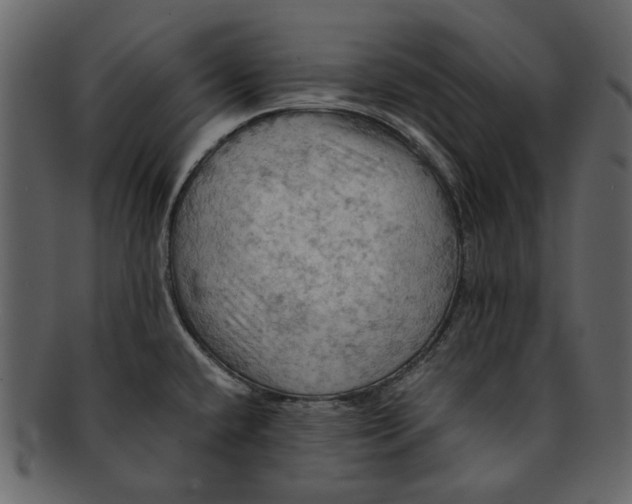X0000093241432200710171431