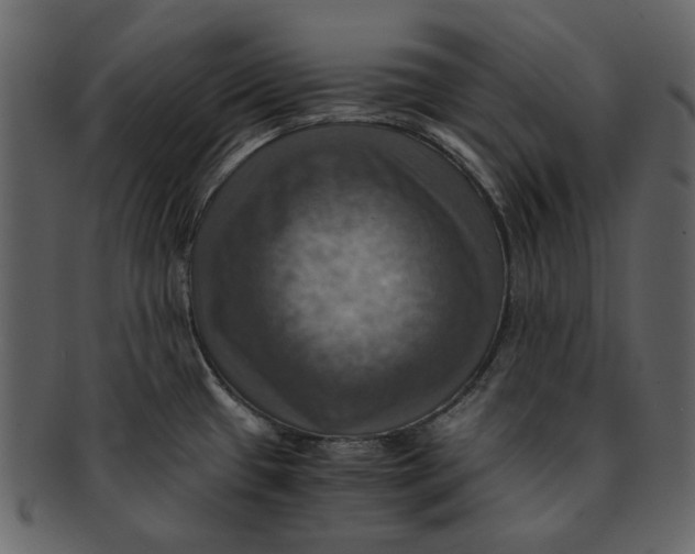 X0000093241433200710171431