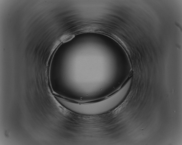 X0000093241434200710171431