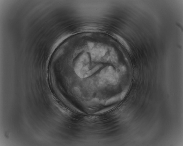 X0000093241435200710171431