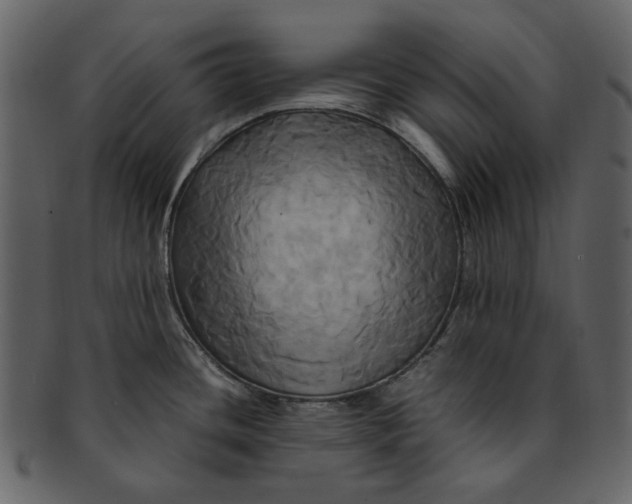 X0000093241436200710171431
