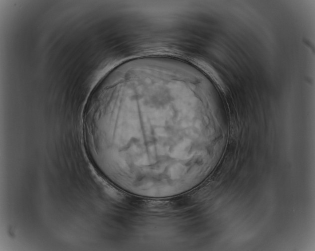 X0000093241439200710171431