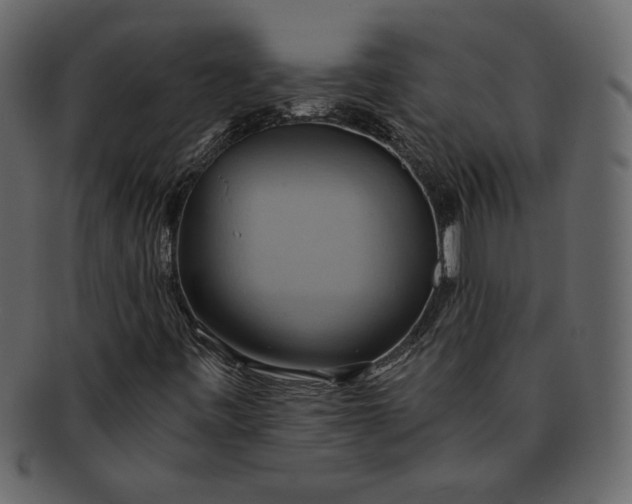 X0000093241443200710171430