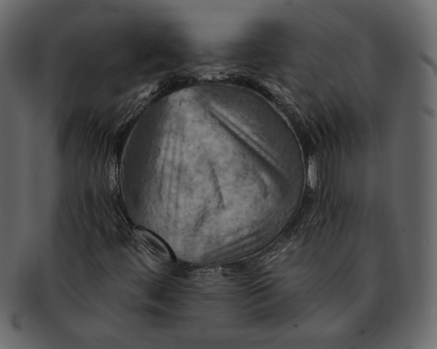 X0000093241444200710171430