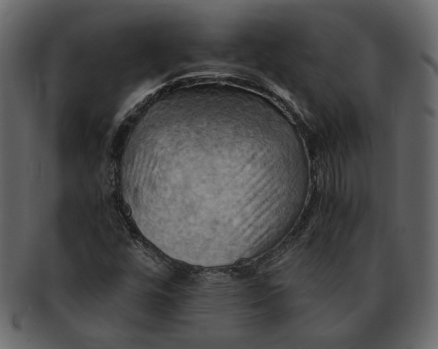 X0000093241448200710171430