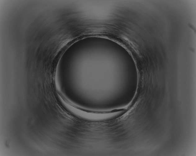 X0000093241449200710171430