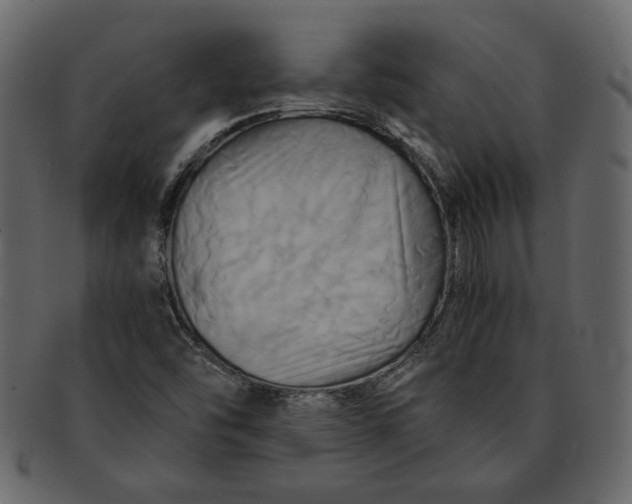 X0000093241454200710171430