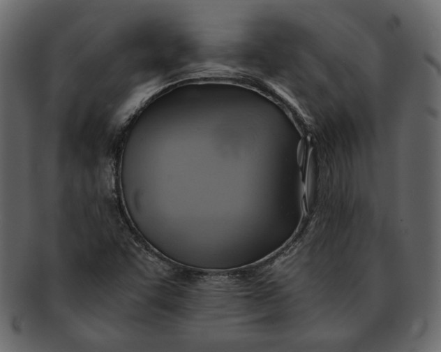 X0000093241455200710171430