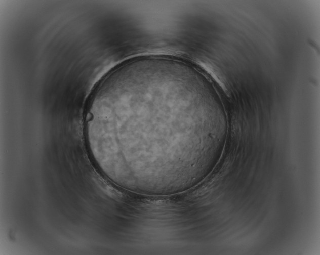 X0000093241460200710171430