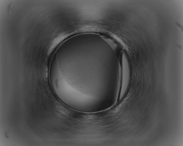 X0000093241461200710171430