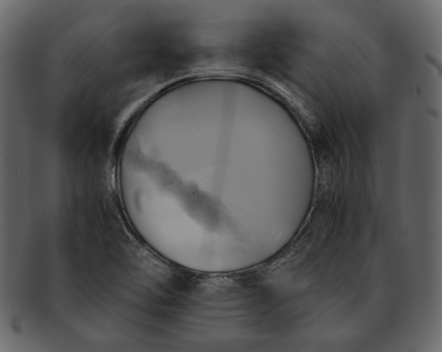 X0000093241462200710171430