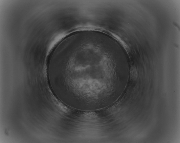 X0000093241464200710171430