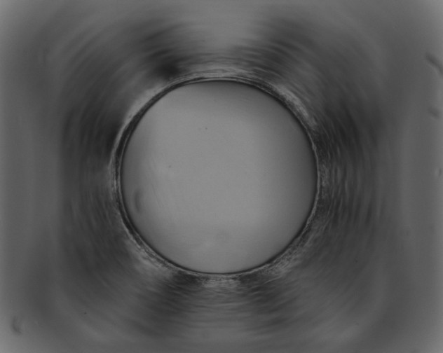 X0000093241466200710171430