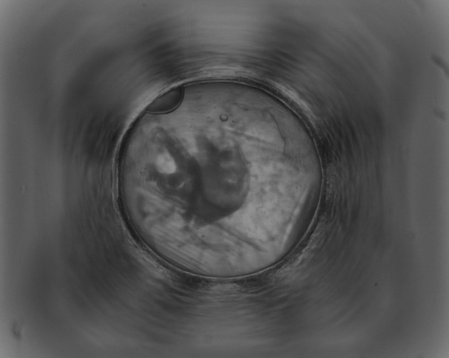 X0000093241467200710171430