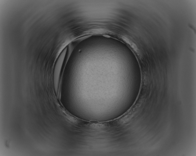 X0000093241473200710171430