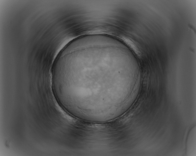 X0000093241476200710171430