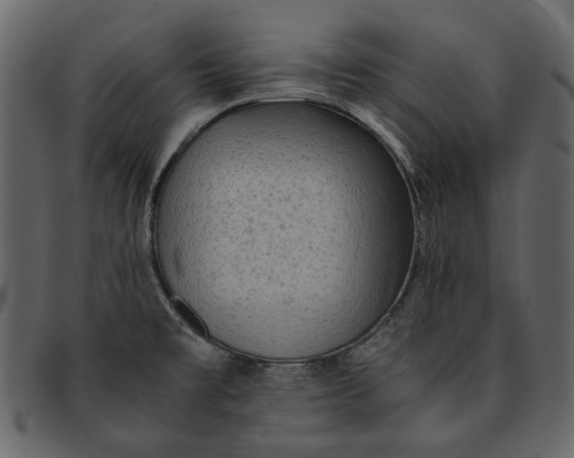 X0000093241477200710171430
