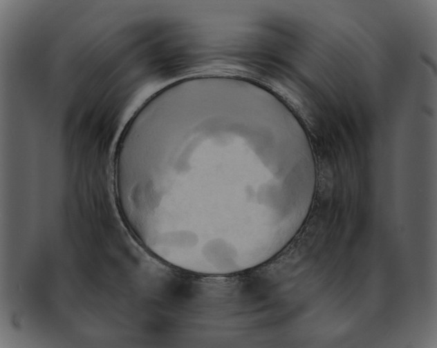 X0000093241478200710171430