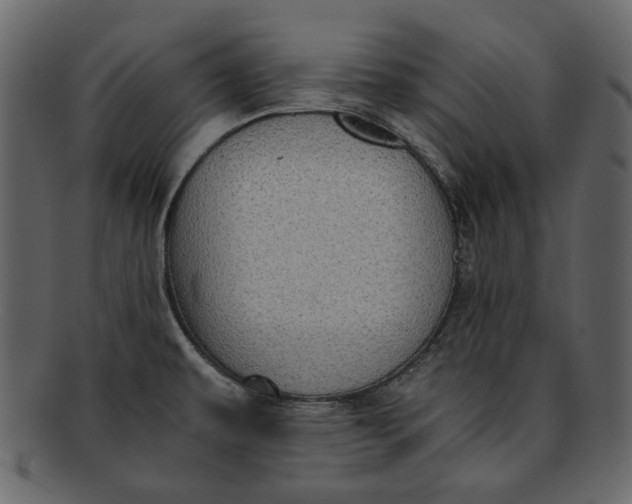 X0000093241479200710171430