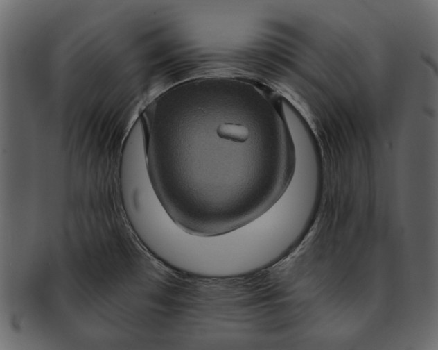 X0000093241481200710171429