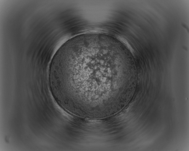 X0000093241483200710171429