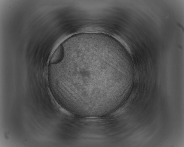 X0000093241486200710171429
