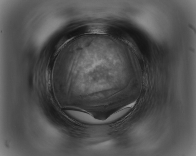 X0000093241487200710171429