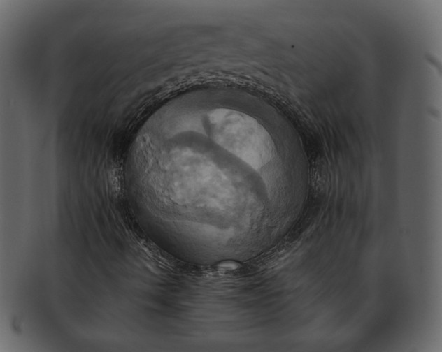 X0000093241490200710171429