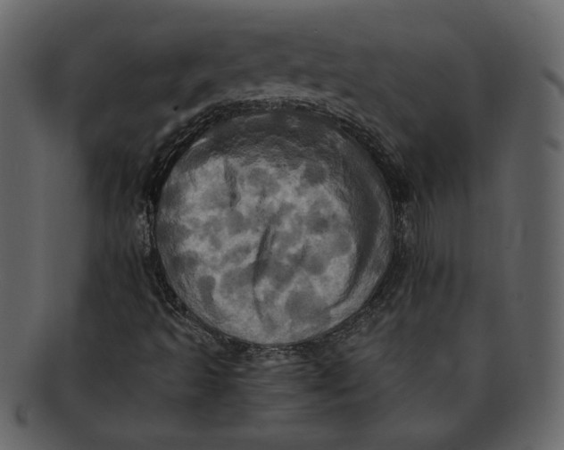 X0000093241493200710171429