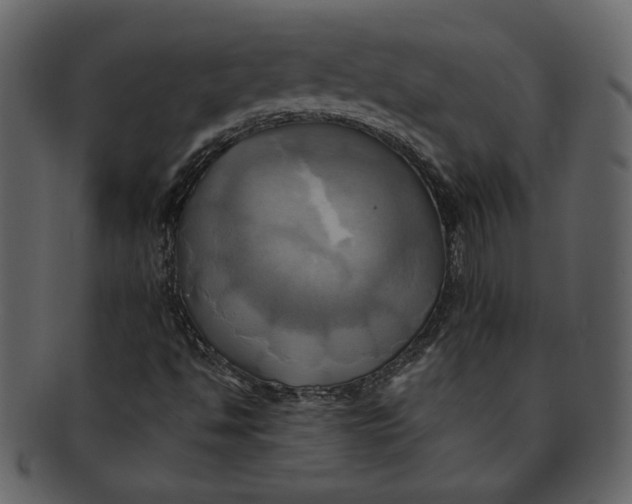 X0000093241494200710171429