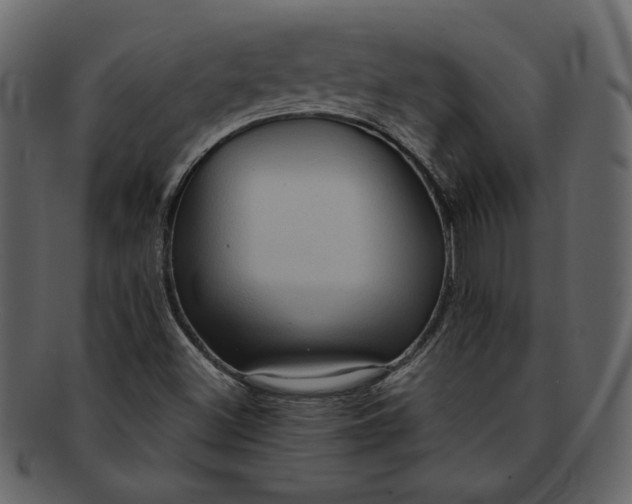X0000093241500200710171429