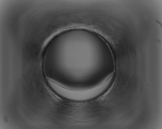 X0000093241502200710171429