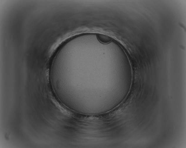 X0000093241503200710171429