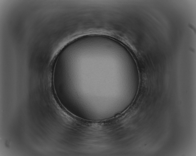 X0000093241504200710171429