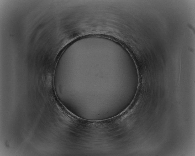 X0000093241505200710171429