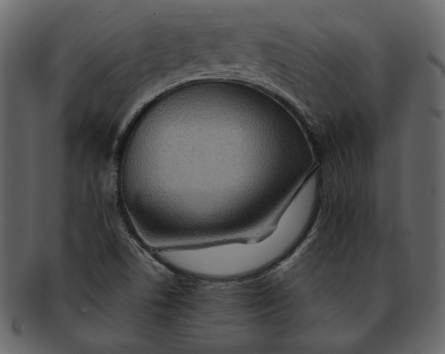 X0000093241506200710171429
