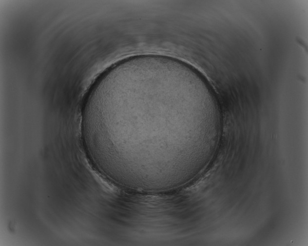 X0000093241507200710171429