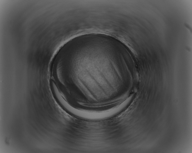 X0000093241508200710171429