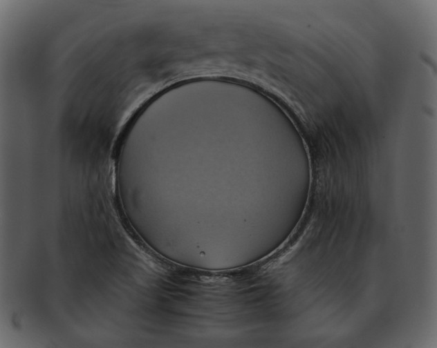 X0000093241509200710171429